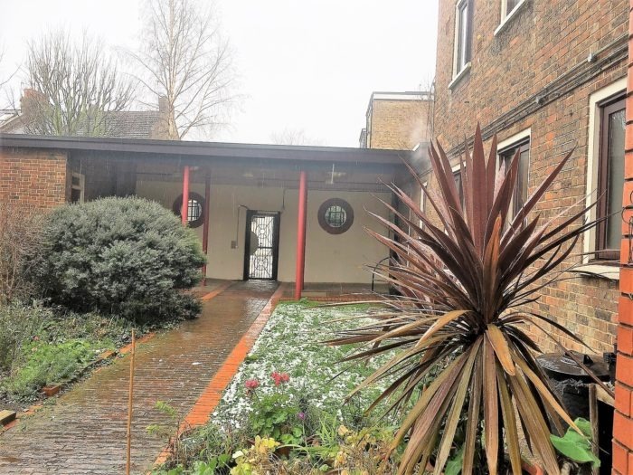 garden on a rainy day